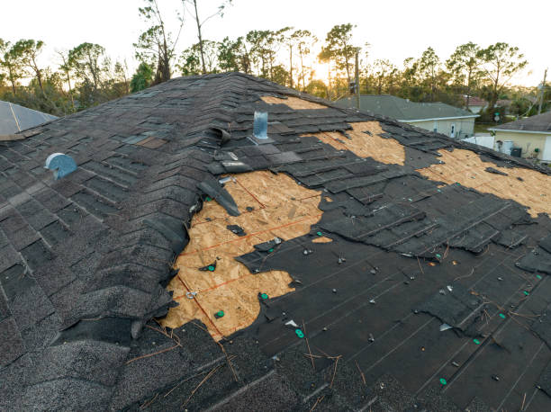Best Roof Insulation Installation  in Moxee, WA