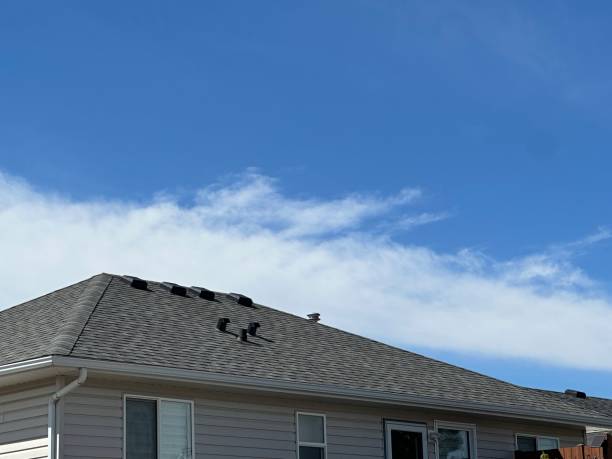 Best Solar Panel Roofing Installation  in Moxee, WA